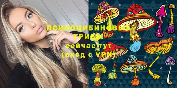 дмт Алагир
