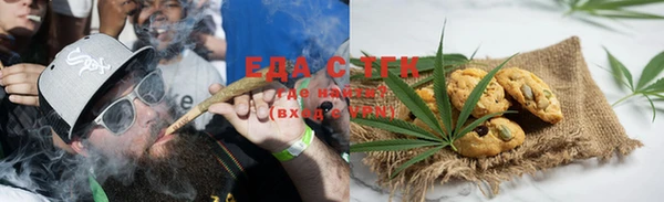 хмурый Магас