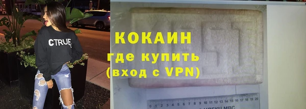 хмурый Магас