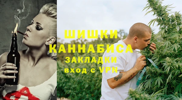 хмурый Магас