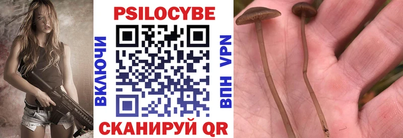 Галлюциногенные грибы мухоморы  Купить закладки  Клинцы 